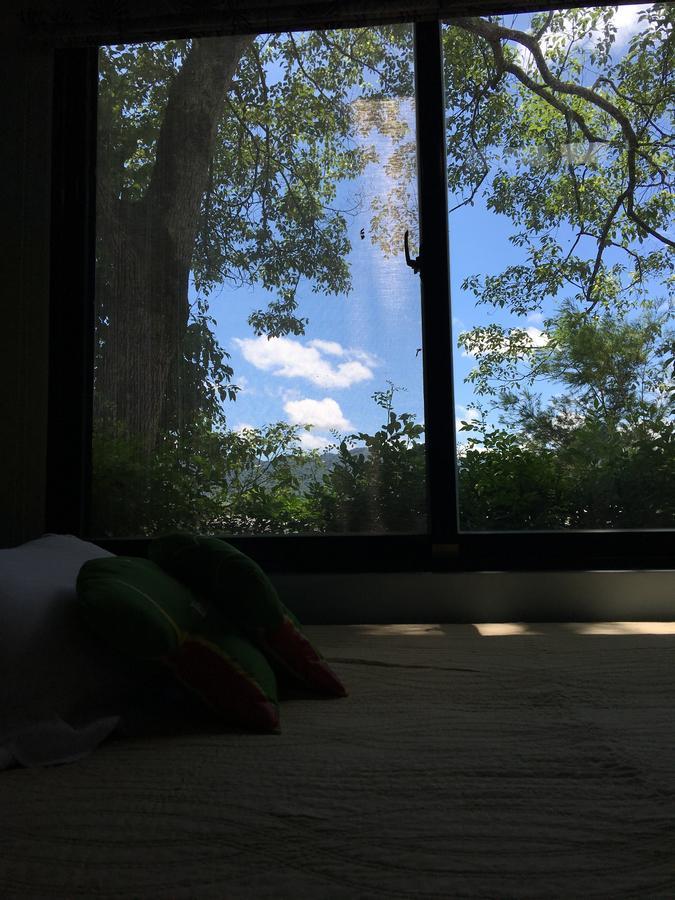 麵包樹舍 Breadfruit B&B Guangfu Dış mekan fotoğraf